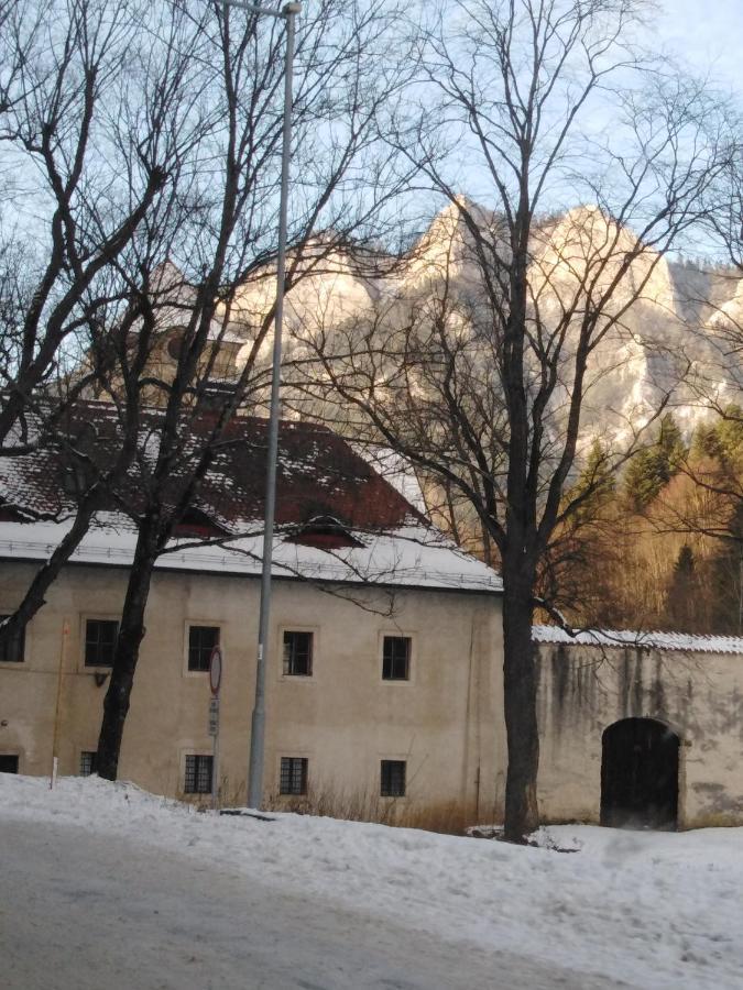 Chata Holica Pieniny Erdős Kültér fotó