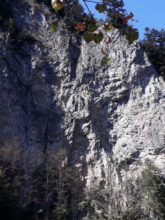 Chata Holica Pieniny Erdős Kültér fotó