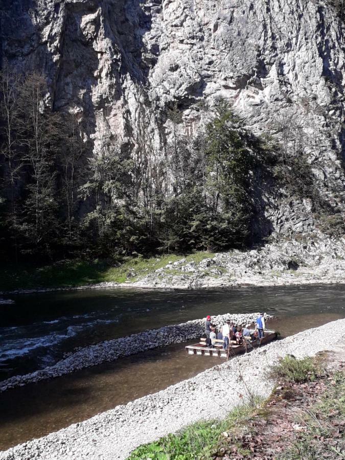Chata Holica Pieniny Erdős Kültér fotó