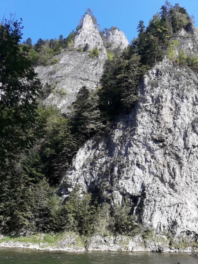 Chata Holica Pieniny Erdős Kültér fotó