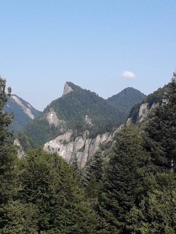 Chata Holica Pieniny Erdős Kültér fotó