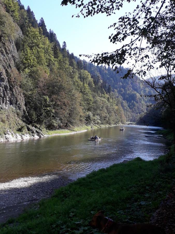 Chata Holica Pieniny Erdős Kültér fotó