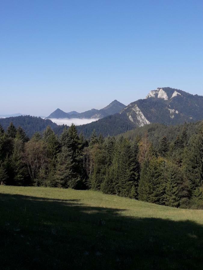 Chata Holica Pieniny Erdős Kültér fotó