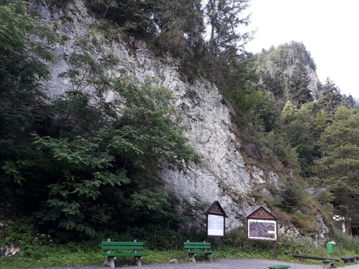 Chata Holica Pieniny Erdős Kültér fotó