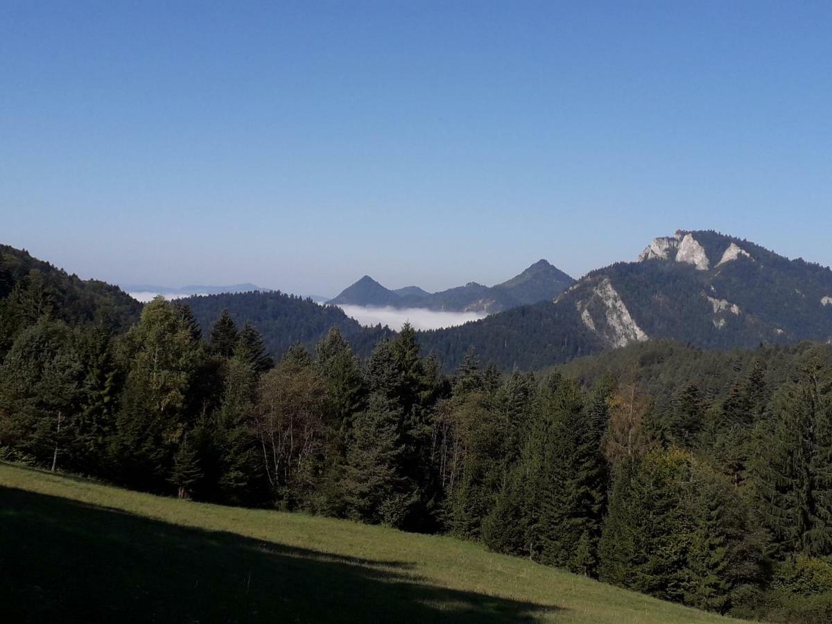 Chata Holica Pieniny Erdős Kültér fotó