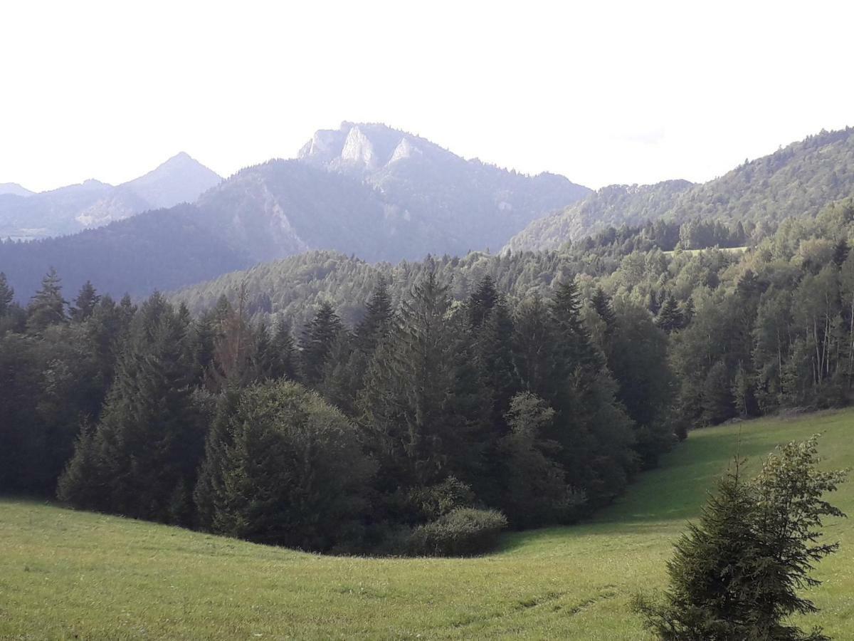 Chata Holica Pieniny Erdős Kültér fotó